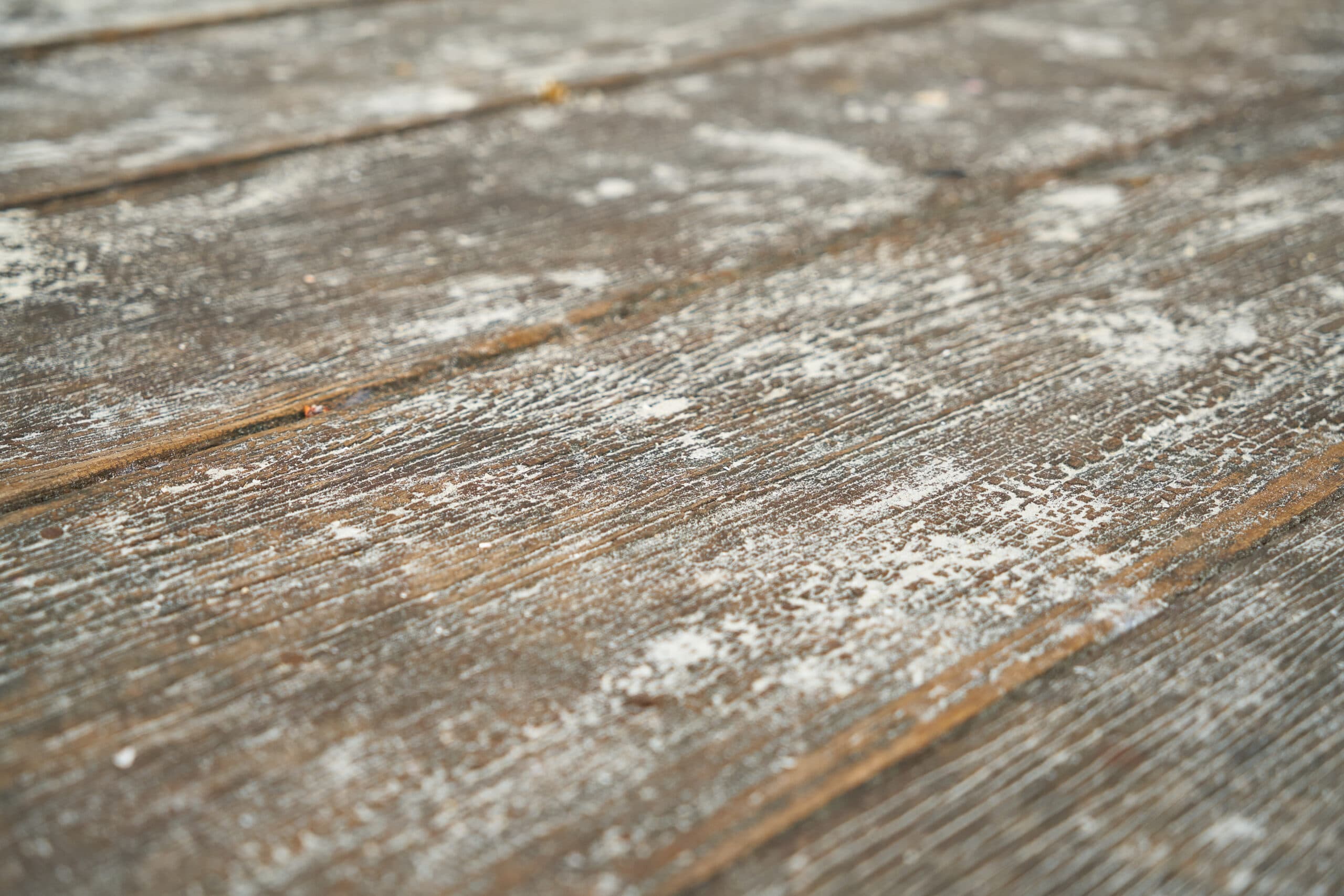 Sealed concrete floor with protective coating in Miami